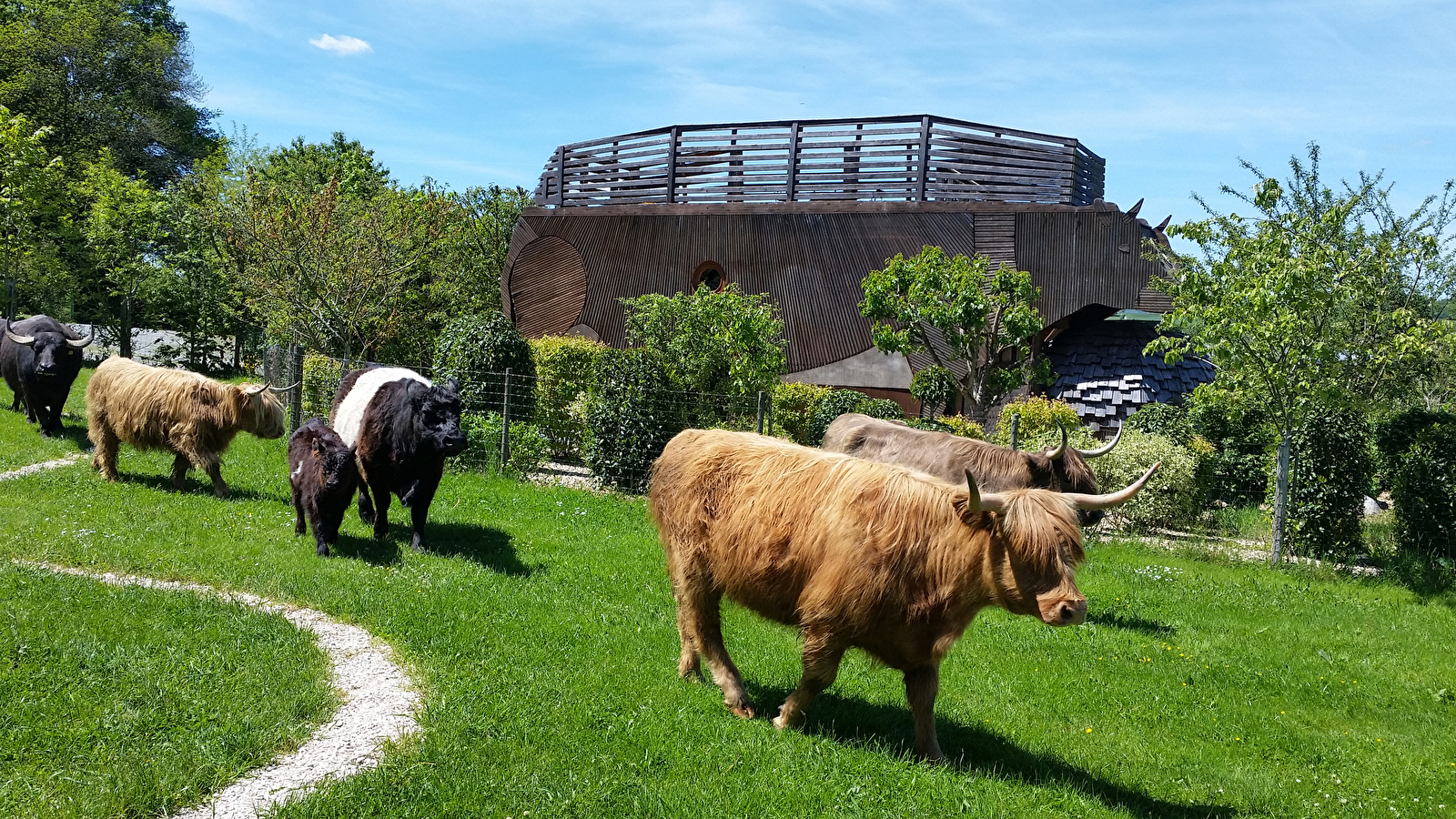 Vache Ecolodge