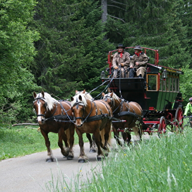 Les Attelages du Grandvaux