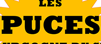 Puces Bourgogne du Sud - MONTCHANIN