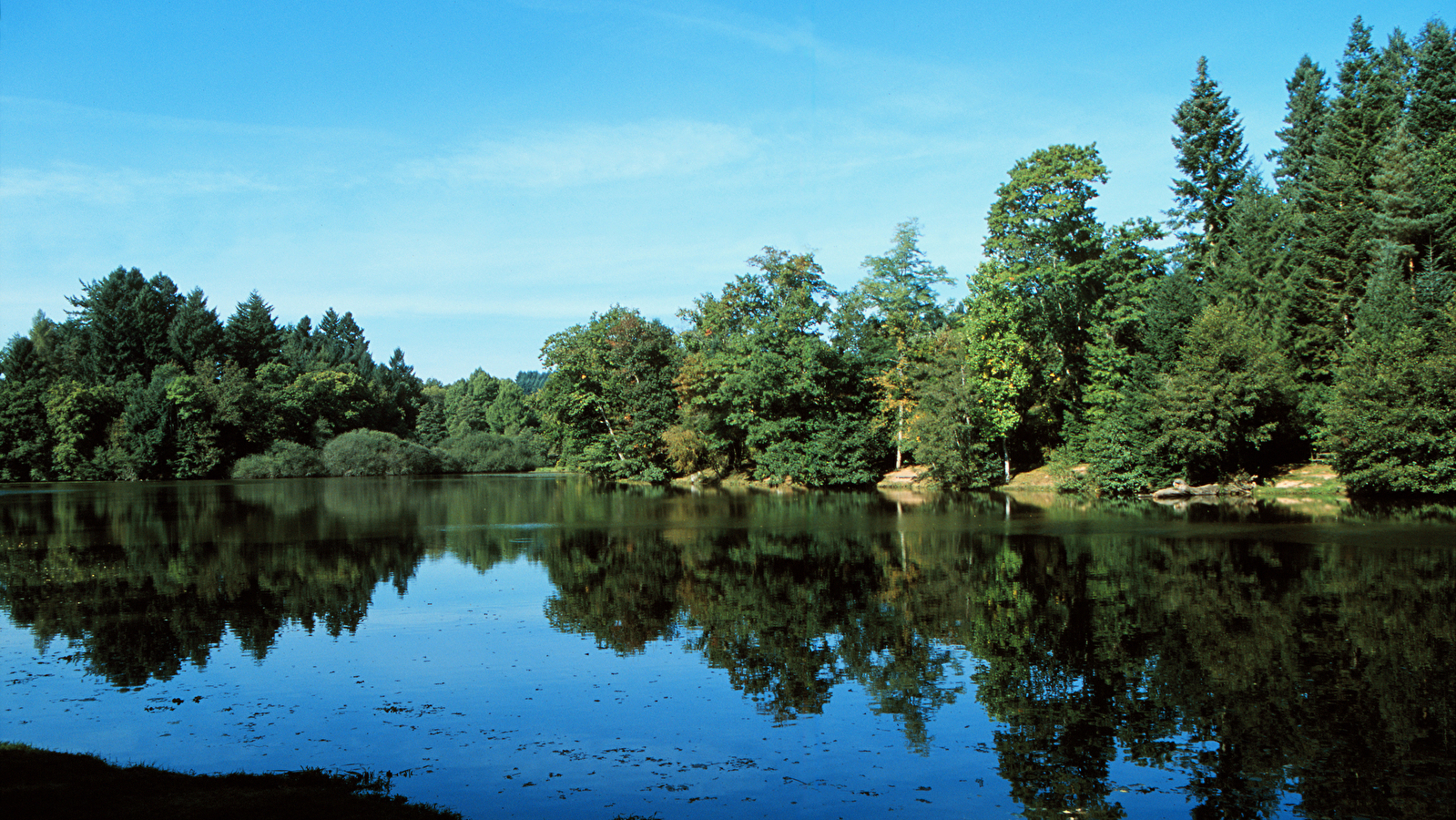 Bureau d'Information Touristique de Dompierre-les-Ormes