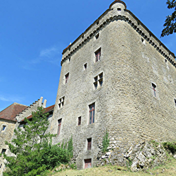 Château du Pin - LE PIN