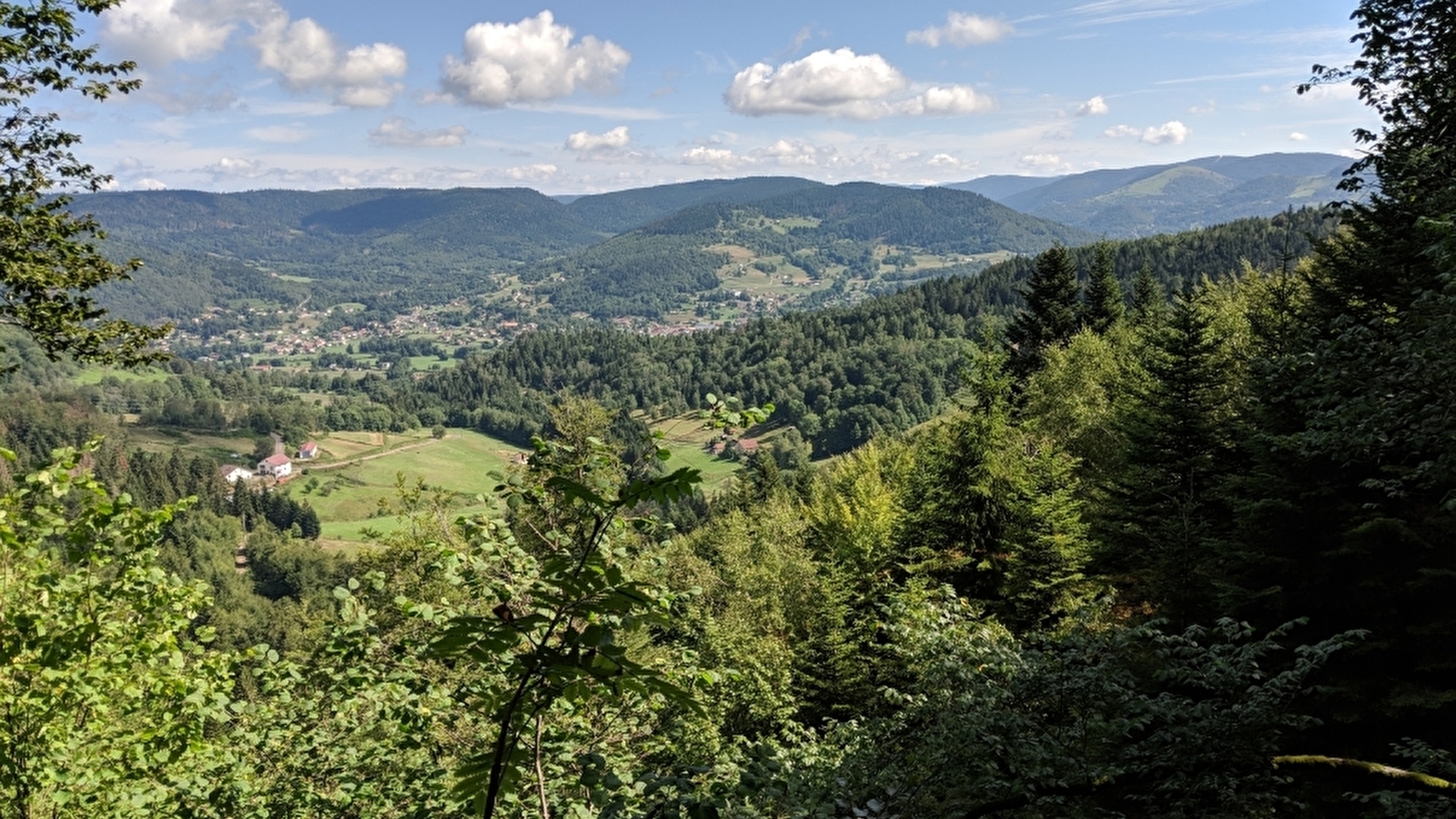 Belvédère de l'étang noir