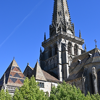 Cathédrale Saint-Lazare