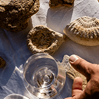 Pouilly Jurassic Tour - SAINT-ANDELAIN