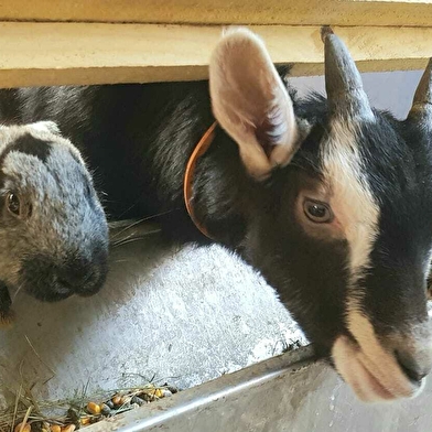 Aire de stationnement à la ferme