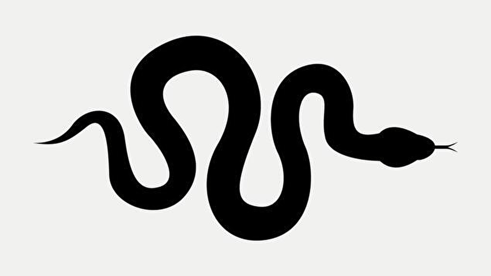 Et si on changeait d'avis sur les serpents ?