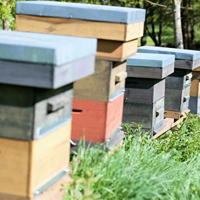 Marc Robin - apiculteur