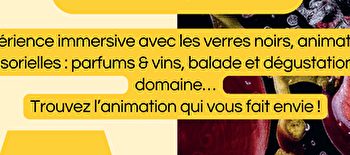 Expérience immersive aux verres noirs - LE VERNOIS