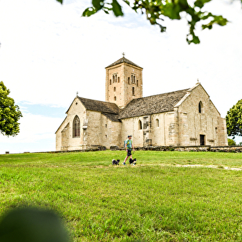 Randonnée accompagnée autour de Laives - SENNECEY-LE-GRAND