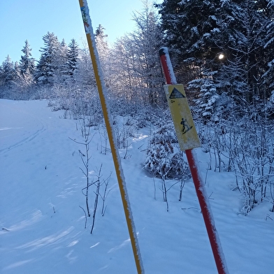 Piste de ski de randonnée