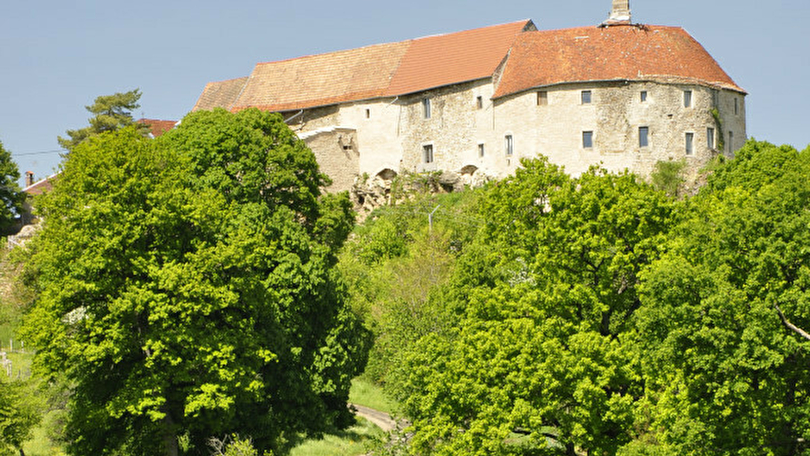 Château Médiéval de Montby