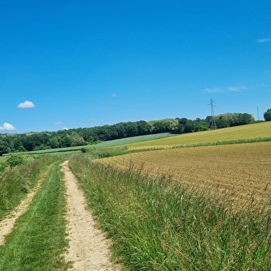 Circuit VTT-VTC n°27 (noir) - Les domaines de Bresse