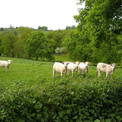 GAEC Le Porc Brionnais