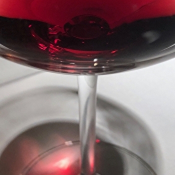 Conférence-dégustation à Meursault : Reconnaissez-vous un pinot noir de Bourgogne ? - MEURSAULT