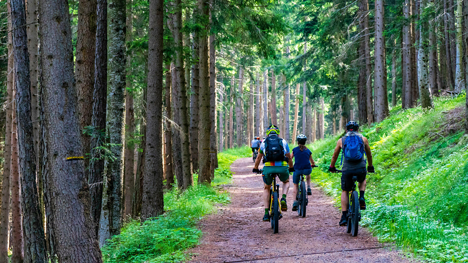 Location de VTT | Sport Xtreme Loue