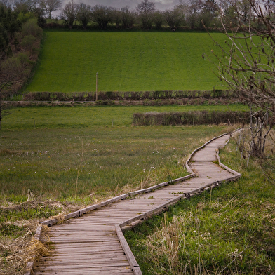 Sentier des prairies de Montour 