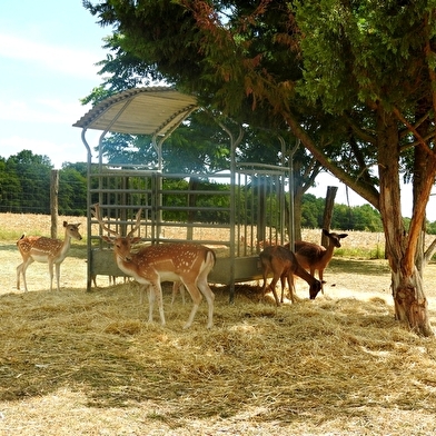 Ferme pédagogique du grand colonge