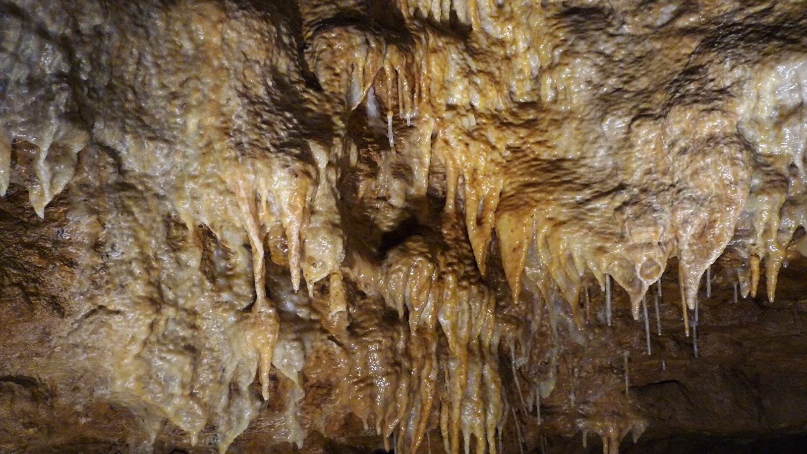 Conférence 'Sous terre, la Saône-et-Loire'