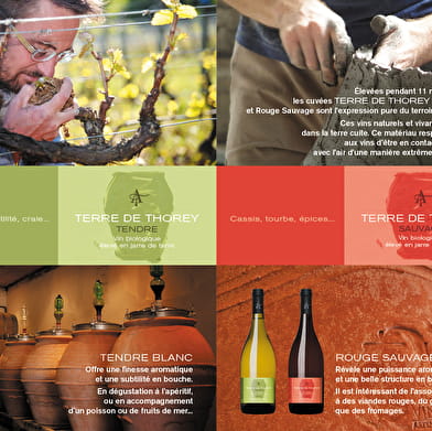 Domaine Aurélien Febvre