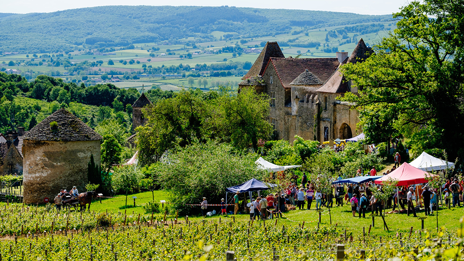 Château Pontus de Tyard