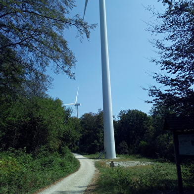 Les éoliennes du Lomont
