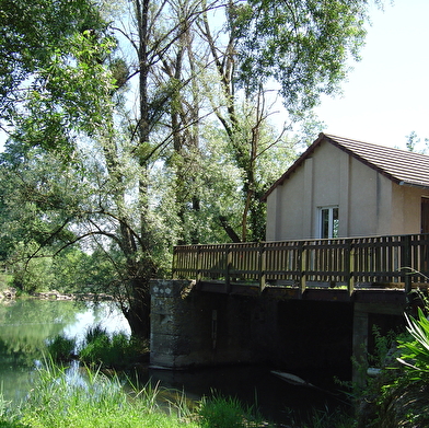 Bois de Brussey