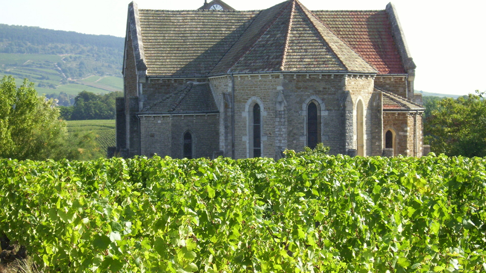 Eglise Saint-Pierre et Saint-Paul