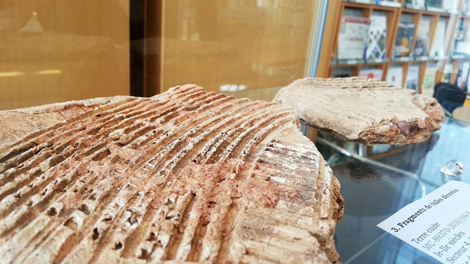 L’actu des réserves du CEREP