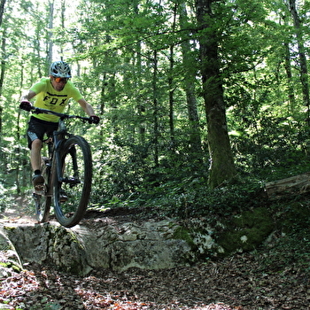 Parcours VTT 54 bleu - Aranc et les Hauts d'Evosges - Espace FFC Ain Forestière - ARANC