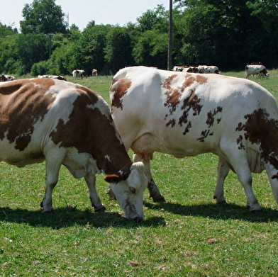 Ferme du Génival