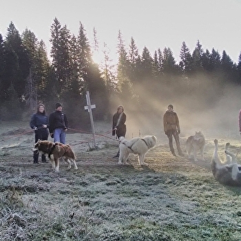 Les Équipages Adam's - CHAUX-NEUVE