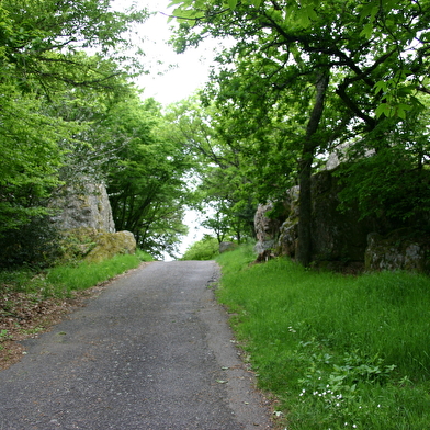 Le Mont Saint-Cyr