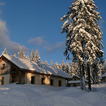 Chalet -Les Hauts Bois - l'Églantine - CHAPELLE-DES-BOIS