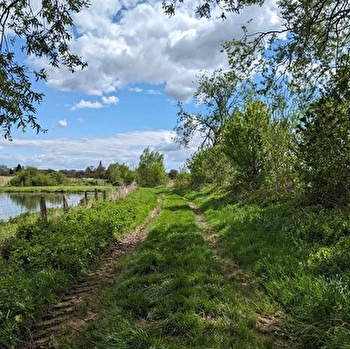 Sentier de la Génevrière - SAINT-MARTIN-EN-BRESSE