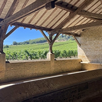 Festival de la Pierre à Saint-Vallerin - SAINT-VALLERIN