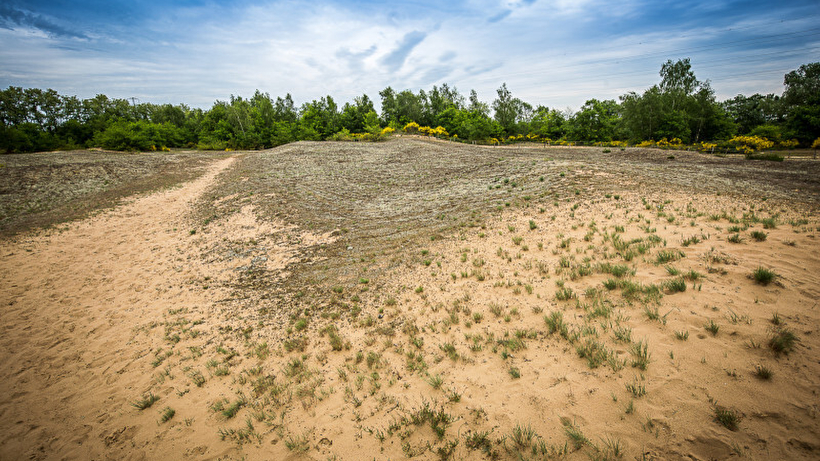 Liaison VTT-VTC (L7) St Trivier de Courtes - Dunes de la Charme (Sermoyer)