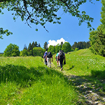 ViaCluny - FRIBOURG