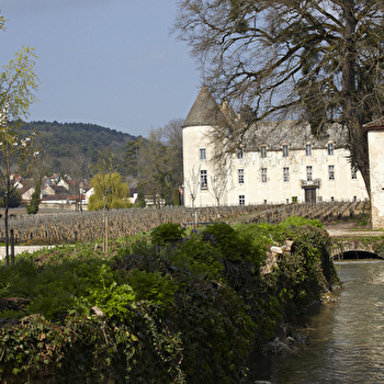 Office de tourisme Beaune & Pays Beaunois - BIT de Savigny-lès-Beaune - SAVIGNY-LES-BEAUNE