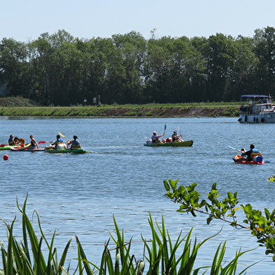 Pagaies des Bords de Saône