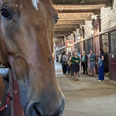 Visite guidée - Cluny, ville du cheval