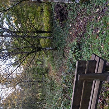 Arboretum du Lison à Nans-sous-Sainte-Anne - NANS-SOUS-SAINTE-ANNE