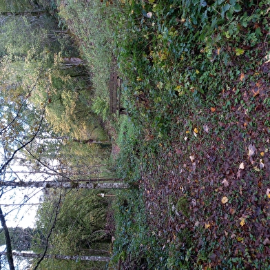 Arboretum du Lison à Nans-sous-Sainte-Anne