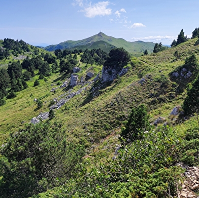 Randonnée pédestre : Thoiry en Molie et les Hauts Sommets