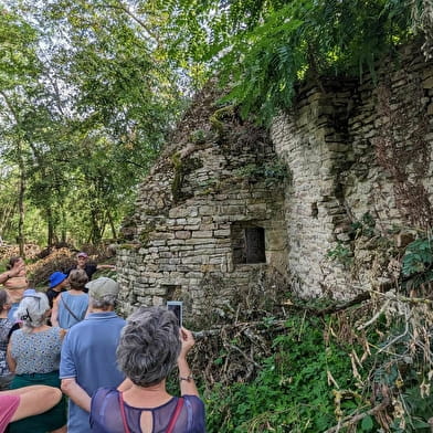 Visite du chateau de Lourdon