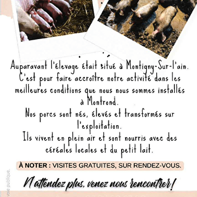 Aux Bons Cochons