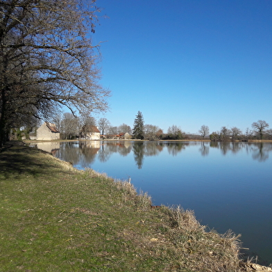 Randonnée à Avril-sur-Loire / Boucle de Forge Neuve