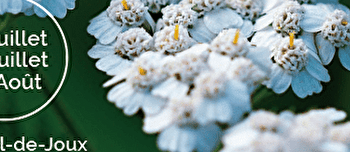 Sortie nature : Cueillette gourmande - CHATEL-DE-JOUX