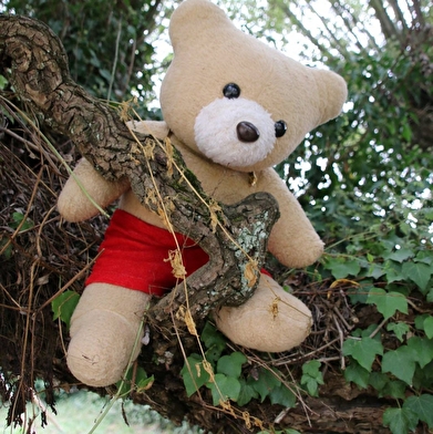 TEDDY BEARS PICNIC