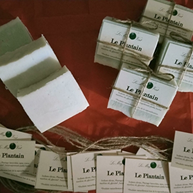 Le Mag'O Vert