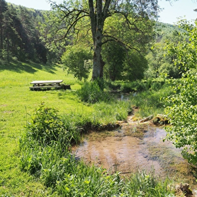 Le Leuzeu